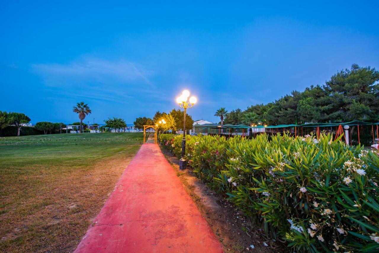 Ammos Sea Front - Adults Only Lejlighed *